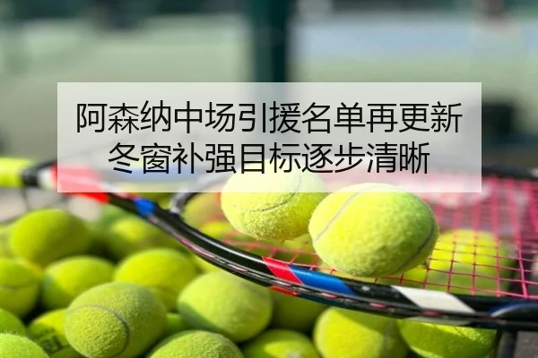 阿森纳中场引援名单再更新 冬窗补强目标逐步清晰