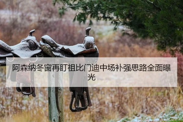 阿森纳冬窗再盯祖比门迪中场补强思路全面曝光